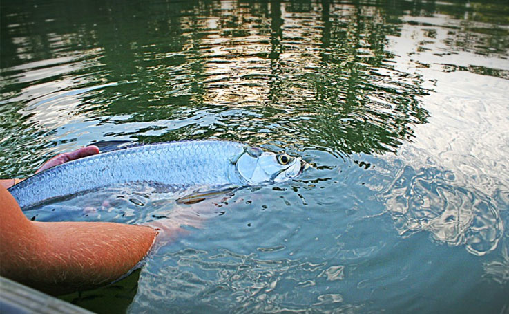 Fishing Tours